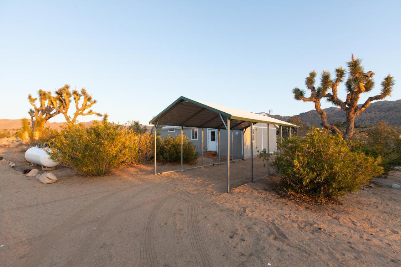 @ Marbella Lane - 10 Acres Oasis Desert Retreat! جوشوا تري المظهر الخارجي الصورة